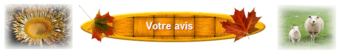 Votre avis