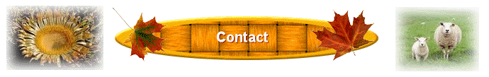 Contact