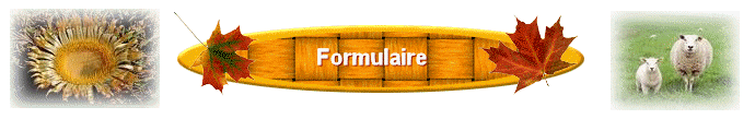 Formulaire