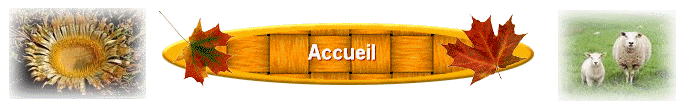 Accueil