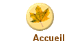 Accueil