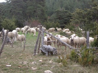 Gite en Lozere